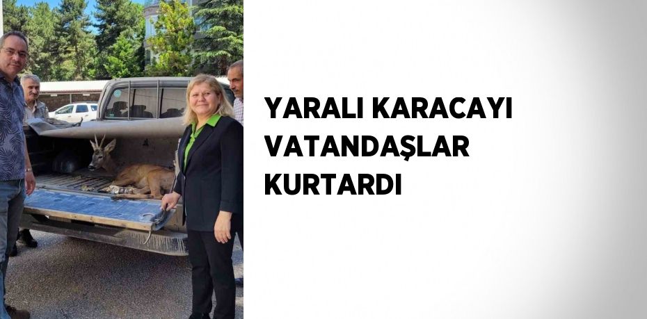 YARALI KARACAYI VATANDAŞLAR KURTARDI