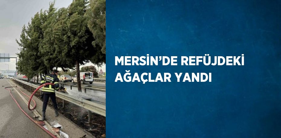 MERSİN’DE REFÜJDEKİ AĞAÇLAR YANDI