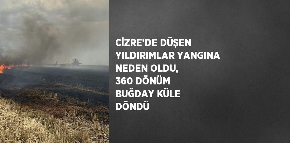 CİZRE’DE DÜŞEN YILDIRIMLAR YANGINA NEDEN OLDU, 360 DÖNÜM BUĞDAY KÜLE DÖNDÜ