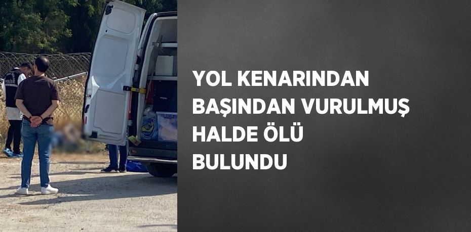 YOL KENARINDAN BAŞINDAN VURULMUŞ HALDE ÖLÜ BULUNDU