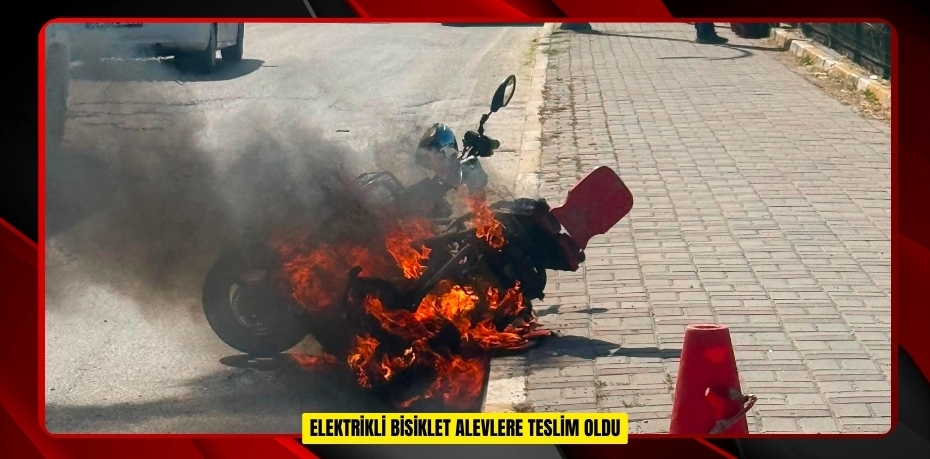 Elektrikli bisiklet alevlere teslim oldu