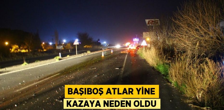 BAŞIBOŞ ATLAR YİNE KAZAYA NEDEN OLDU