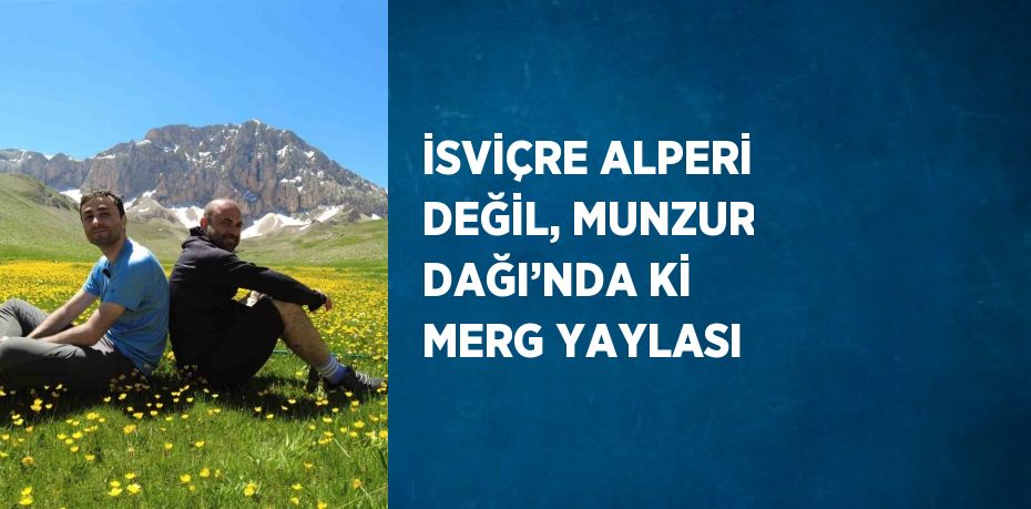 İSVİÇRE ALPERİ DEĞİL, MUNZUR DAĞI’NDA Kİ MERG YAYLASI