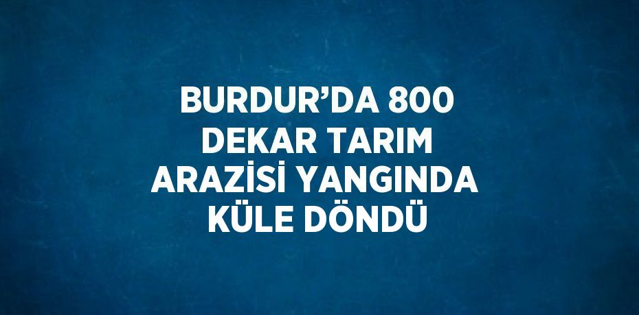 BURDUR’DA 800 DEKAR TARIM ARAZİSİ YANGINDA KÜLE DÖNDÜ