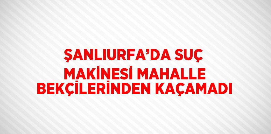 ŞANLIURFA’DA SUÇ MAKİNESİ MAHALLE BEKÇİLERİNDEN KAÇAMADI