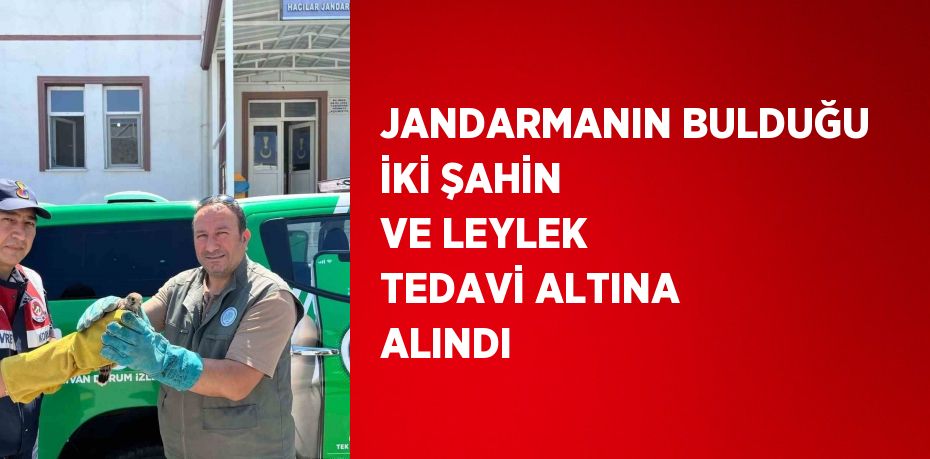 JANDARMANIN BULDUĞU İKİ ŞAHİN VE LEYLEK TEDAVİ ALTINA ALINDI