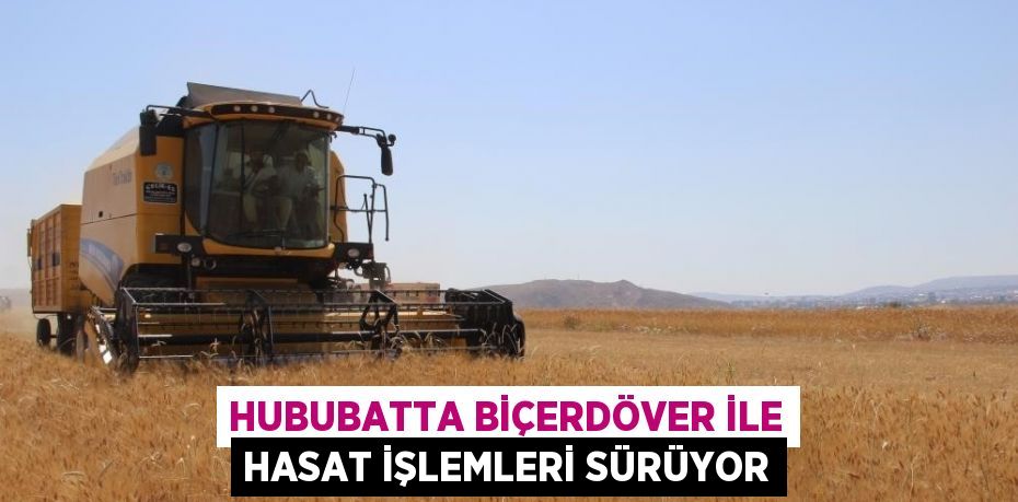 HUBUBATTA BİÇERDÖVER İLE HASAT İŞLEMLERİ SÜRÜYOR