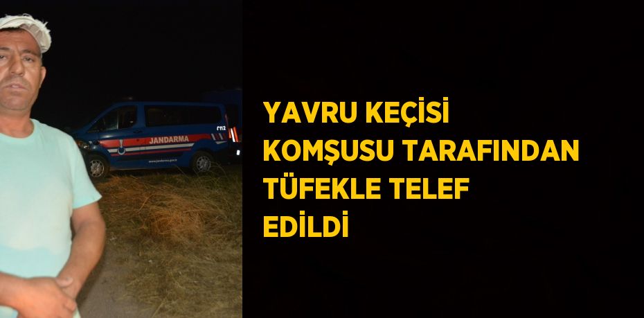 YAVRU KEÇİSİ KOMŞUSU TARAFINDAN TÜFEKLE TELEF EDİLDİ