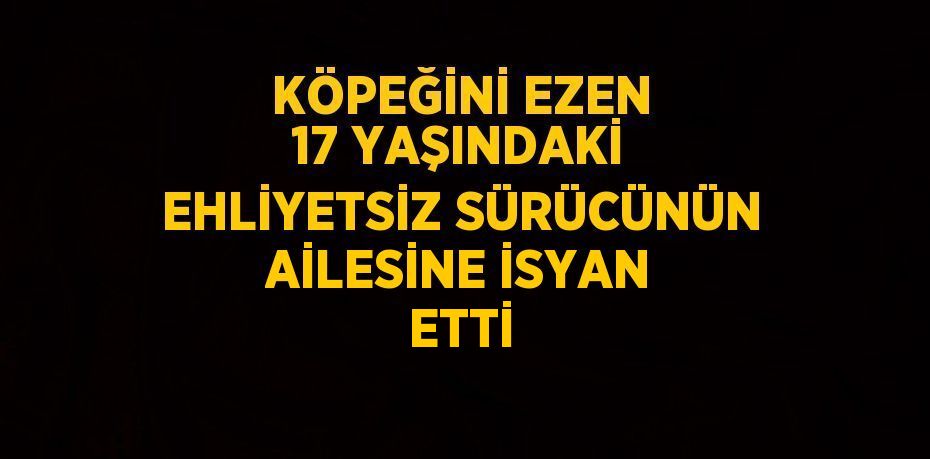 KÖPEĞİNİ EZEN 17 YAŞINDAKİ EHLİYETSİZ SÜRÜCÜNÜN AİLESİNE İSYAN ETTİ