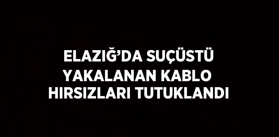 ELAZIĞ’DA SUÇÜSTÜ YAKALANAN KABLO HIRSIZLARI TUTUKLANDI