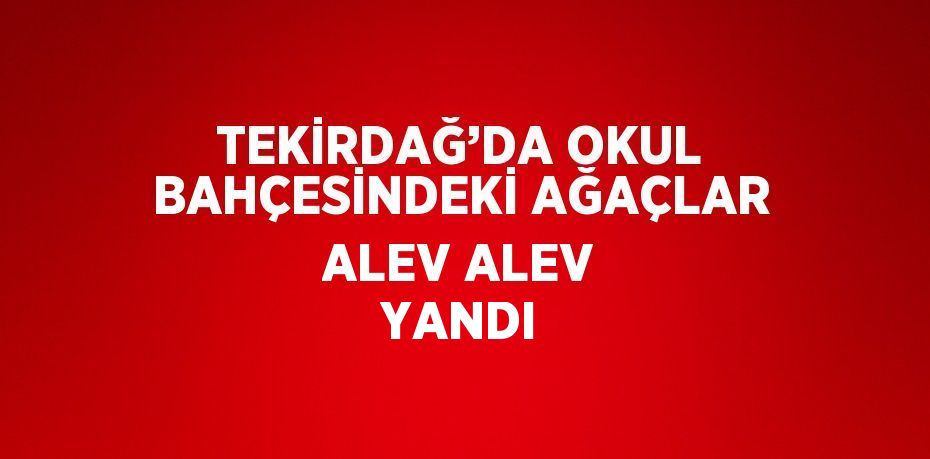 TEKİRDAĞ’DA OKUL BAHÇESİNDEKİ AĞAÇLAR ALEV ALEV YANDI