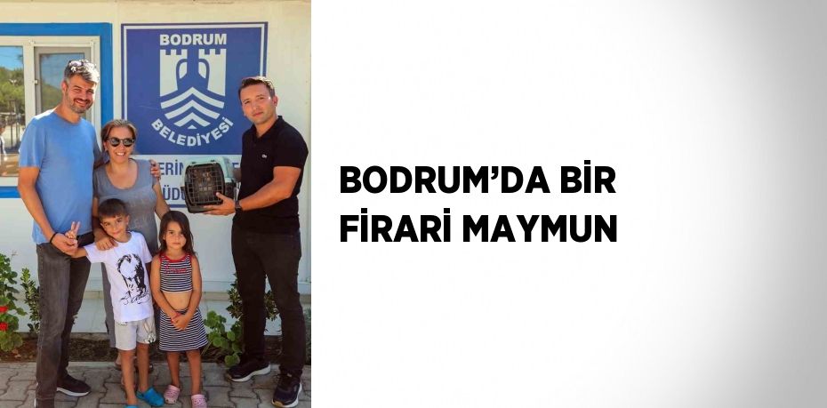 BODRUM’DA BİR FİRARİ MAYMUN