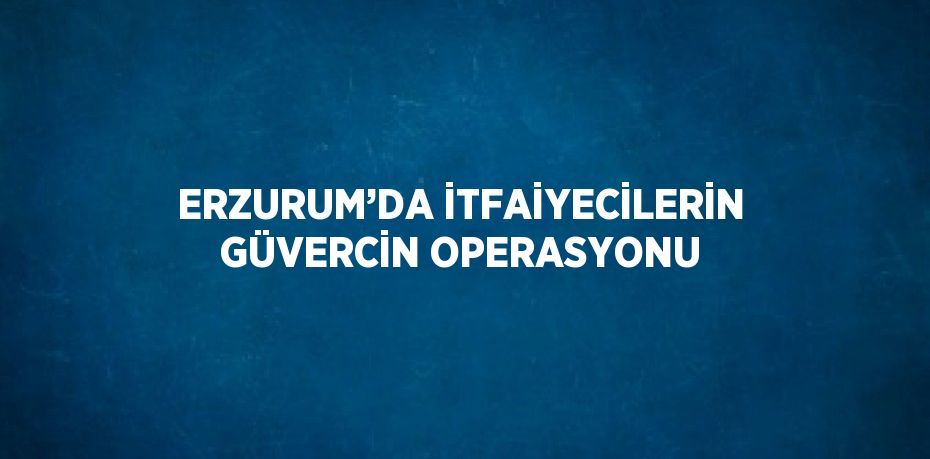 ERZURUM’DA İTFAİYECİLERİN GÜVERCİN OPERASYONU