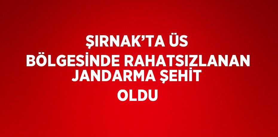 ŞIRNAK’TA ÜS BÖLGESİNDE RAHATSIZLANAN JANDARMA ŞEHİT OLDU