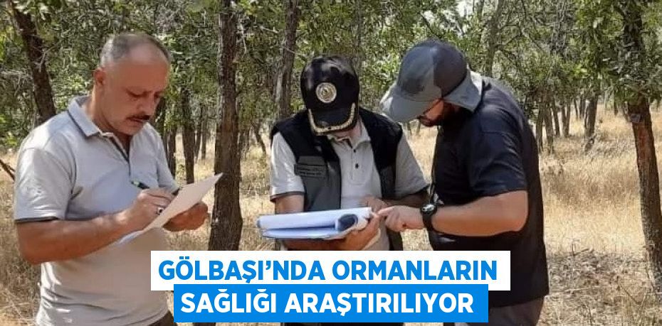 GÖLBAŞI’NDA ORMANLARIN SAĞLIĞI ARAŞTIRILIYOR