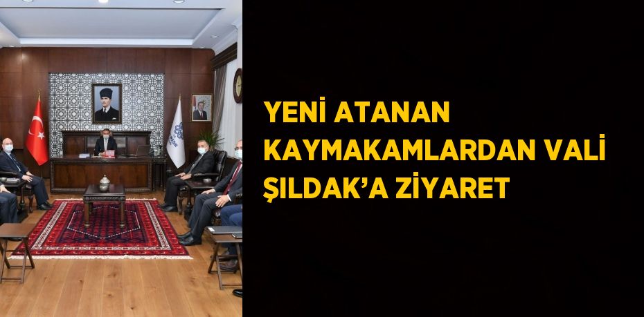 YENİ ATANAN KAYMAKAMLARDAN VALİ ŞILDAK’A ZİYARET