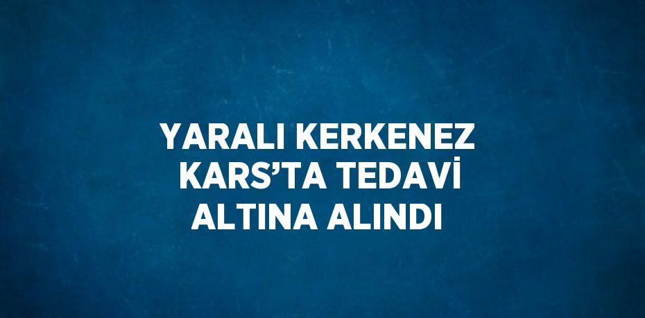 YARALI KERKENEZ KARS’TA TEDAVİ ALTINA ALINDI