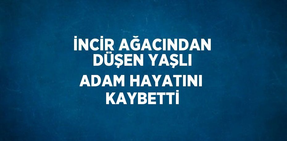 İNCİR AĞACINDAN DÜŞEN YAŞLI ADAM HAYATINI KAYBETTİ