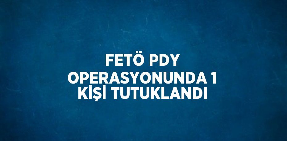 FETÖ PDY OPERASYONUNDA 1 KİŞİ TUTUKLANDI