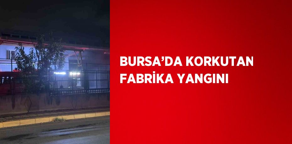 BURSA’DA KORKUTAN FABRİKA YANGINI