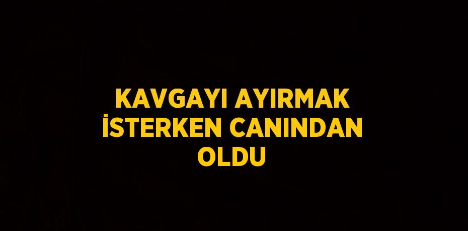 KAVGAYI AYIRMAK İSTERKEN CANINDAN OLDU