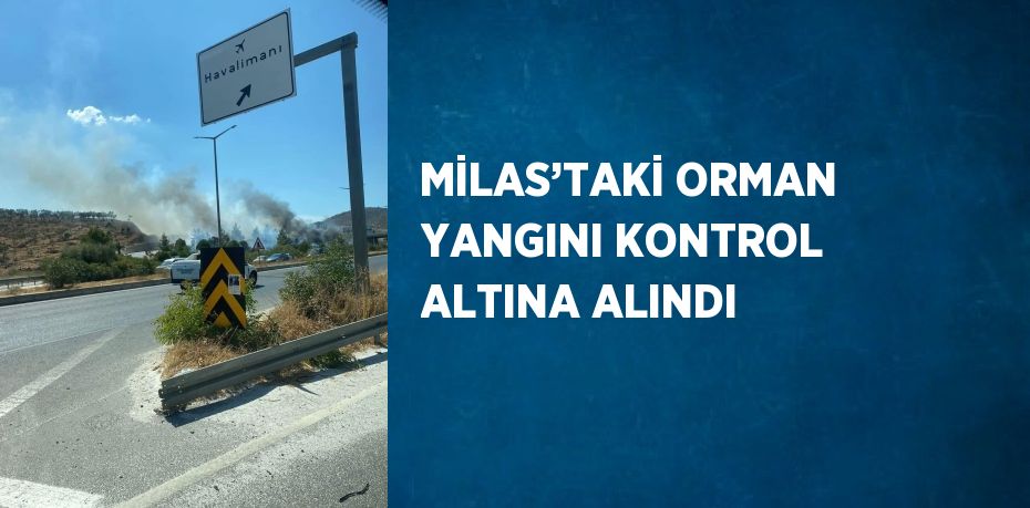 MİLAS’TAKİ ORMAN YANGINI KONTROL ALTINA ALINDI