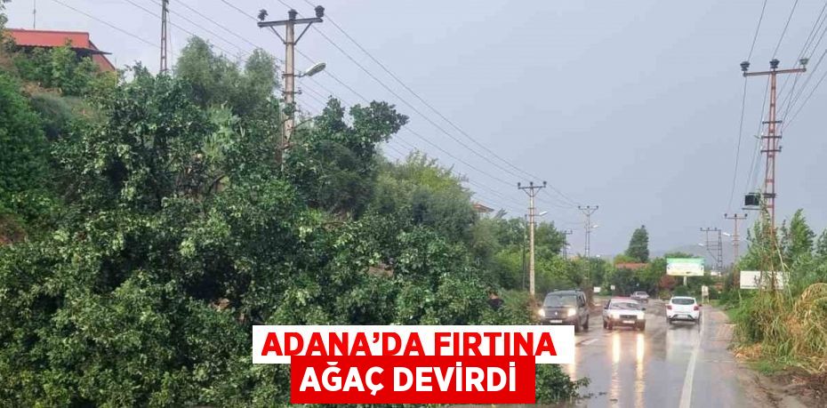 ADANA’DA FIRTINA AĞAÇ DEVİRDİ