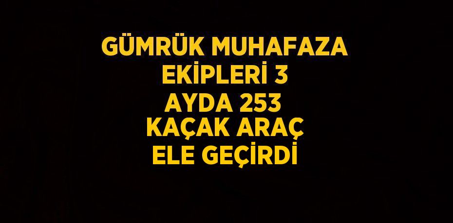 GÜMRÜK MUHAFAZA EKİPLERİ 3 AYDA 253 KAÇAK ARAÇ ELE GEÇİRDİ