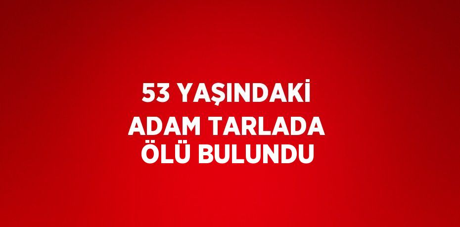 53 YAŞINDAKİ ADAM TARLADA ÖLÜ BULUNDU