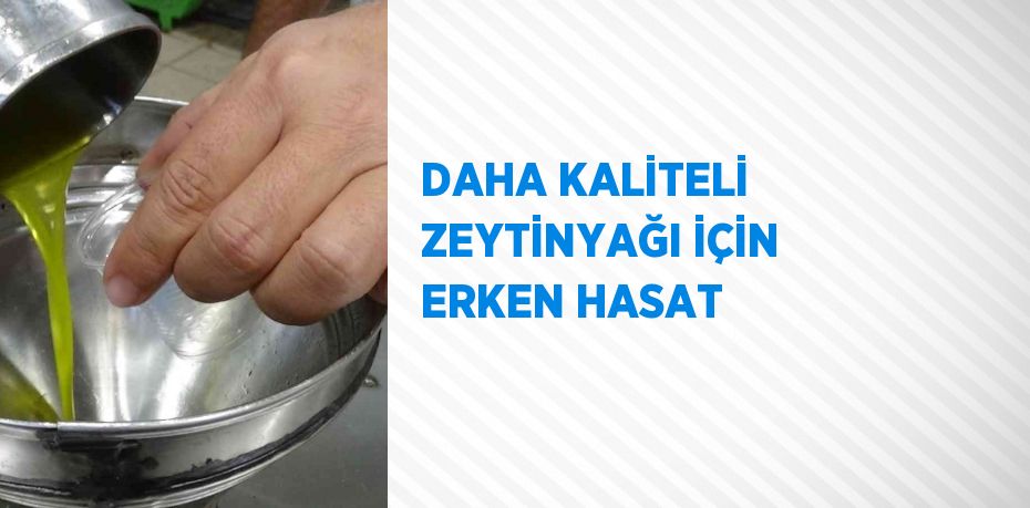 DAHA KALİTELİ ZEYTİNYAĞI İÇİN ERKEN HASAT