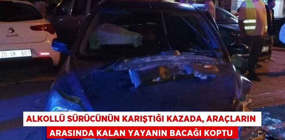 ALKOLLÜ SÜRÜCÜNÜN KARIŞTIĞI KAZADA, ARAÇLARIN ARASINDA KALAN YAYANIN BACAĞI KOPTU