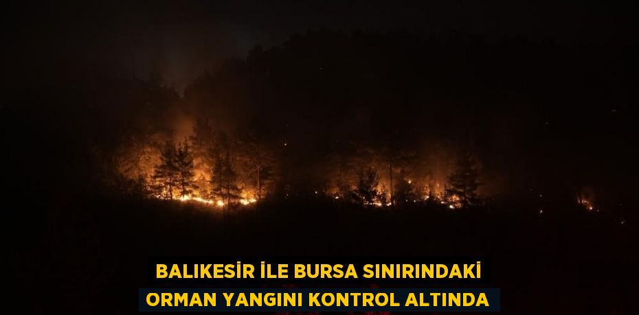 BALIKESİR İLE BURSA SINIRINDAKİ ORMAN YANGINI KONTROL ALTINDA