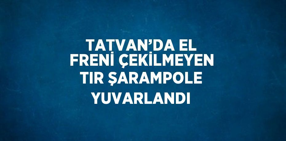 TATVAN’DA EL FRENİ ÇEKİLMEYEN TIR ŞARAMPOLE YUVARLANDI