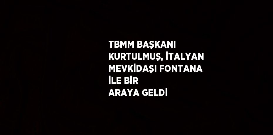 TBMM BAŞKANI KURTULMUŞ, İTALYAN MEVKİDAŞI FONTANA İLE BİR ARAYA GELDİ