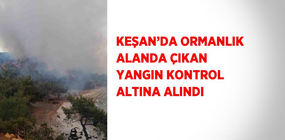 KEŞAN’DA ORMANLIK ALANDA ÇIKAN YANGIN KONTROL ALTINA ALINDI