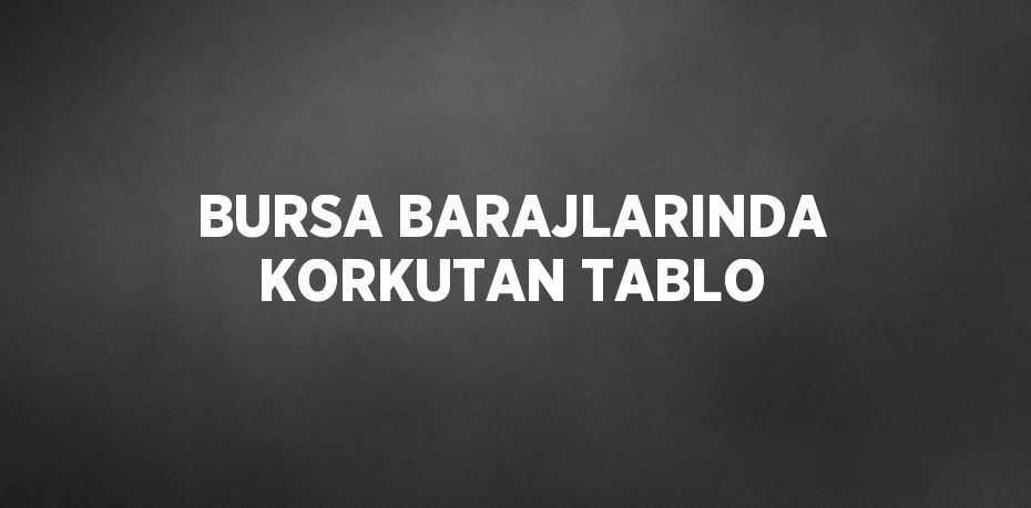 BURSA BARAJLARINDA KORKUTAN TABLO