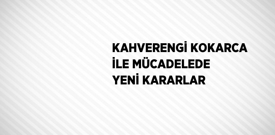 KAHVERENGİ KOKARCA İLE MÜCADELEDE YENİ KARARLAR