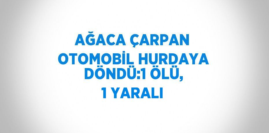 AĞACA ÇARPAN OTOMOBİL HURDAYA DÖNDÜ:1 ÖLÜ, 1 YARALI