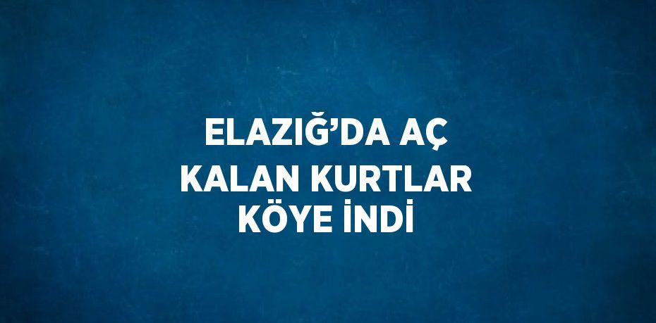 ELAZIĞ’DA AÇ KALAN KURTLAR KÖYE İNDİ