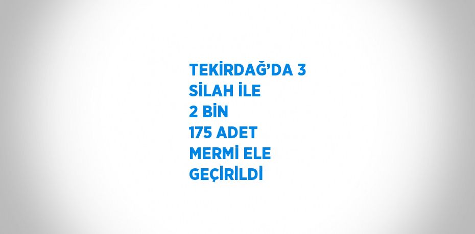 TEKİRDAĞ’DA 3 SİLAH İLE 2 BİN 175 ADET MERMİ ELE GEÇİRİLDİ