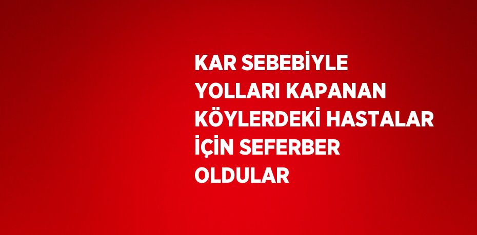 KAR SEBEBİYLE YOLLARI KAPANAN KÖYLERDEKİ HASTALAR İÇİN SEFERBER OLDULAR