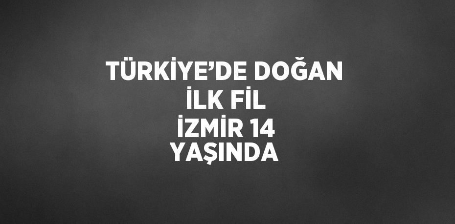 TÜRKİYE’DE DOĞAN İLK FİL İZMİR 14 YAŞINDA