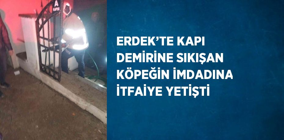 ERDEK’TE KAPI DEMİRİNE SIKIŞAN KÖPEĞİN İMDADINA İTFAİYE YETİŞTİ