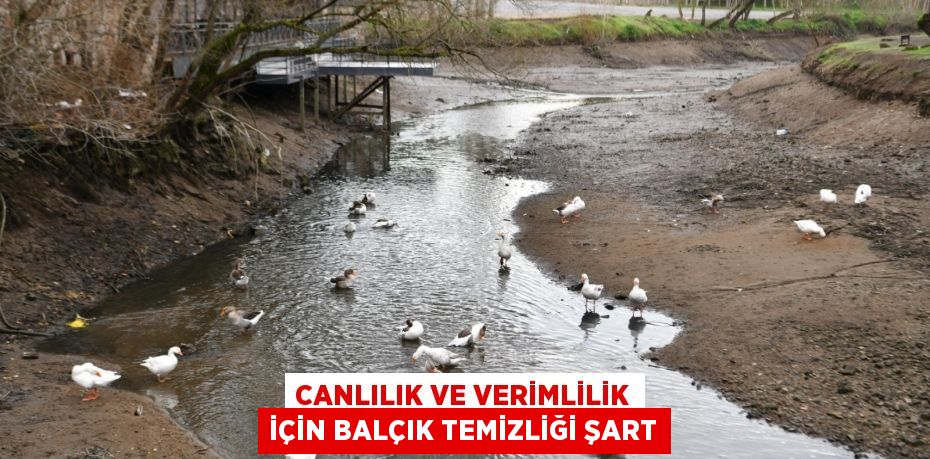 Canlılık ve verimlilik için balçık temizliği şart