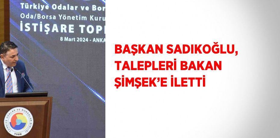 BAŞKAN SADIKOĞLU, TALEPLERİ BAKAN ŞİMŞEK’E İLETTİ