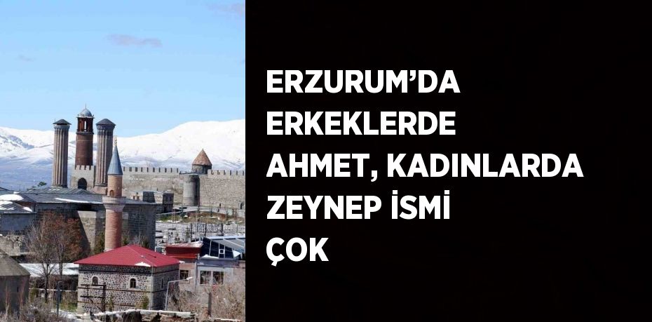 ERZURUM’DA ERKEKLERDE AHMET, KADINLARDA ZEYNEP İSMİ ÇOK