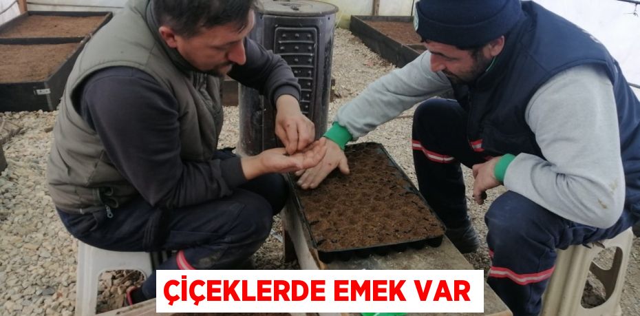 ÇİÇEKLERDE EMEK VAR