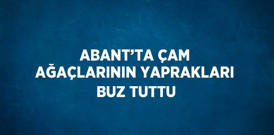 ABANT’TA ÇAM AĞAÇLARININ YAPRAKLARI BUZ TUTTU