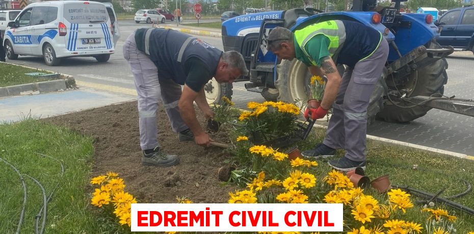 Edremit cıvıl cıvıl