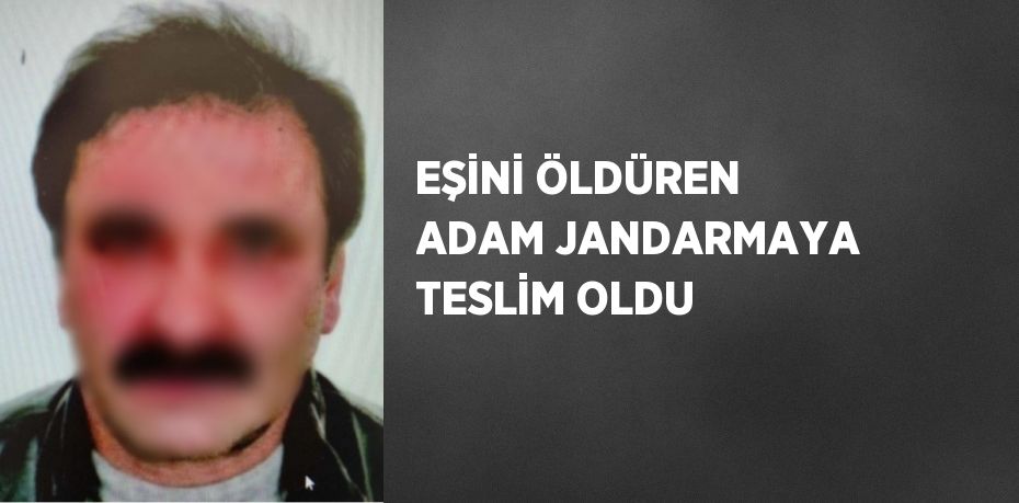 EŞİNİ ÖLDÜREN ADAM JANDARMAYA TESLİM OLDU